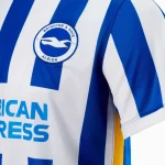 Brighton & Hove Albion 2021/22 Home Jersey