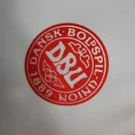 Denmark 2023/24 Away Jersey