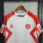 Denmark 2023/24 Away Jersey