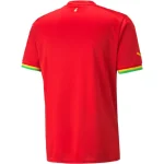 Ghana 2022 World Cup Away Jersey