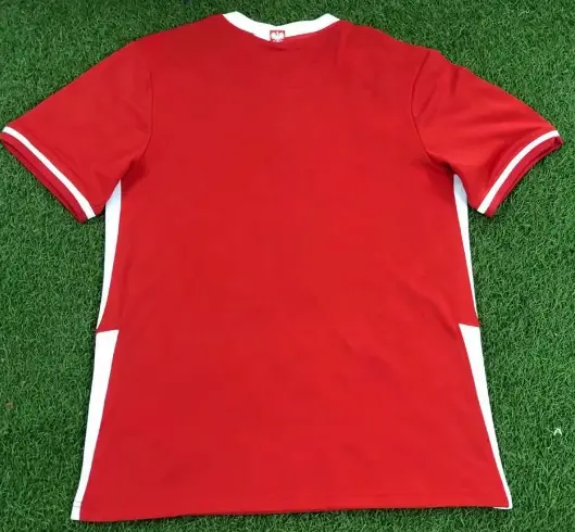 Poland 2020 Away Jersey