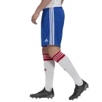 Russia 2021 Away Shorts