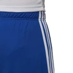 Russia 2021 Away Shorts