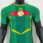 Senegal 2022 World Cup Away Player Version Jersey