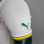 Senegal 2022 World Cup Home Player Version Jersey