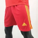 Wales 2020 Home Shorts