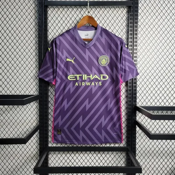 Manchester City 2023/24 Goalkeeper Jersey Purple