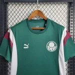 Palmeiras 2023/24 Pre-Match Training Jersey Green