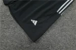 Juventus 2023-24 Training Suit