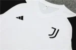 Juventus 2023-24 Training Suit