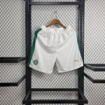 Palmeiras 2024/25 Away Shorts