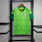 Palmeiras 2024/25 Pre-Match Training Jersey