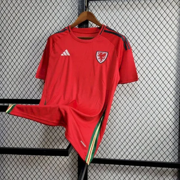 Wales 2024/25 Euro Away Jersey